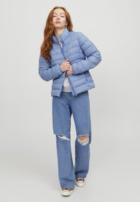 Giacca a vento blu chiaro con cuciture orizzontali, colletto alto e zip, indossata sopra una maglietta grigia e abbinata a jeans in denim strappati.
