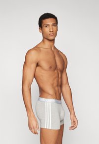 Gray cotton boxer briefs with a light gray logo waistband and three white stripes on the sides, featuring a fitted design and smooth texture.