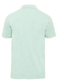Polo in un leggero verde menta, maniche corte, colletto, realizzato in morbido cotone, con un design semplice senza alcun motivo o accento.