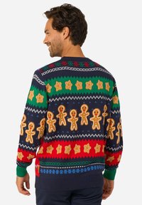 Kootud kampsun, millel on meresinisel taustal värvikirevad piparkoogid ja tähemustrit, ning mansettide ja ääre rohelised ja punased aktsendid.