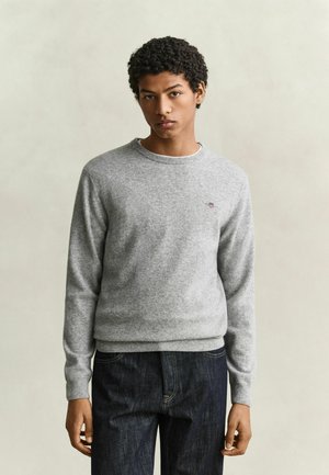 Junger Mann mit kurzen lockigen Haaren, der einen hellgrauen Pullover und dunkelblaue Jeans trägt und vor einem neutralen Hintergrund steht.