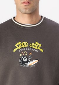 Felpa grigia scura con collo a costine. Presenta un ricamo colorato di una palla da biliardo e una tavola da surf, con il testo 'Santa Cruz Skateboards'.