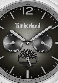 Timberlandi kellal on must tekstuuriga kell face, hõbedased käed ja markerid, koos päeva ja kuupäeva subdiaalidega. Tuntu logo puudub põhjas.