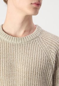 Jack & Jones JJJONES CREW NECK - Džemperis - white/crockery