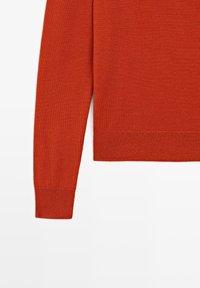 Rostorange Pullover mit langen Ärmeln, gerippten Bündchen und Saum, dargestellt vor weißem Hintergrund mit Blick auf den linken Ärmel und die Seite.