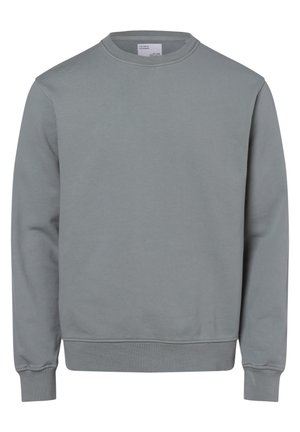 Sweat-shirt gris uni à col rond, manches longues avec poignets et ourlet côtelés, présenté à plat sans motifs ni logos.