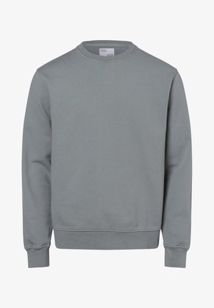 Plain grey crewneck sweatshirt with long sleeves and ribbed cuffs and hem, displayed flat without any patterns or logos.