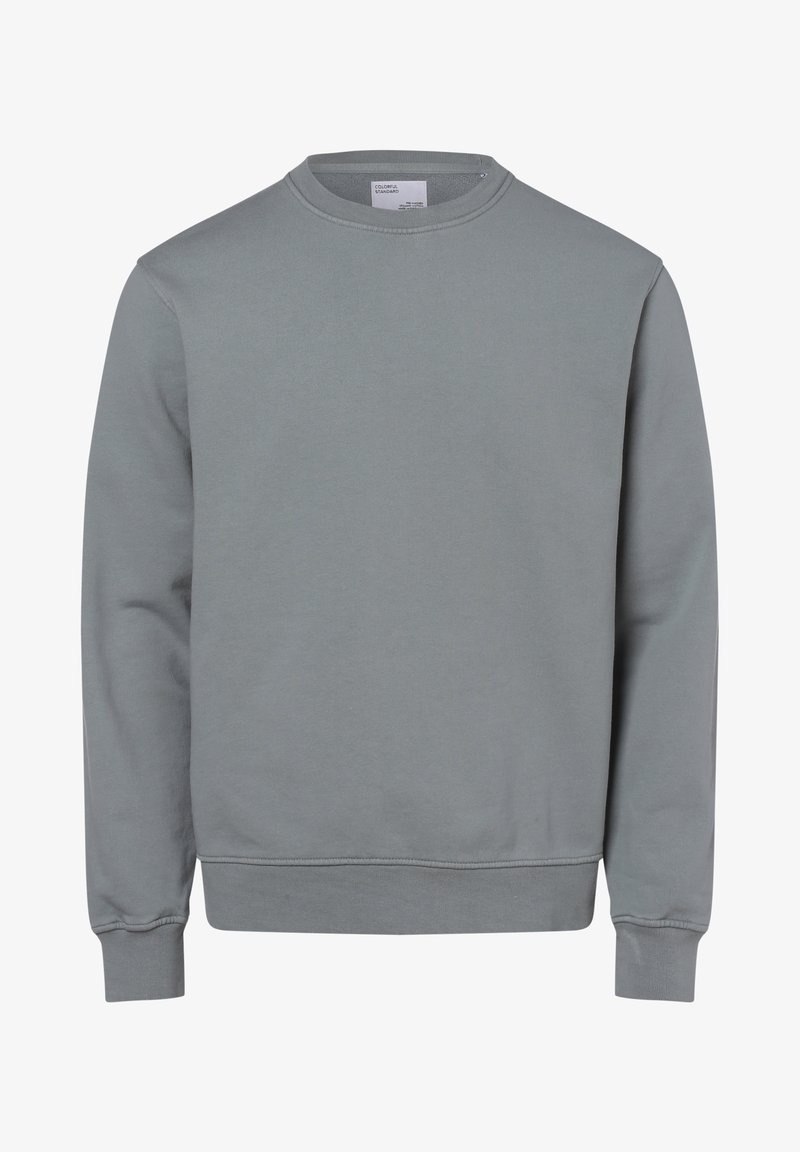 Sweat-shirt gris uni à col rond, manches longues avec poignets et ourlet côtelés, présenté à plat sans motifs ni logos.