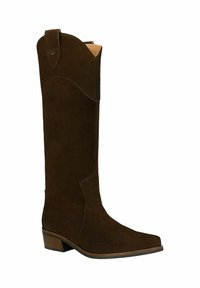 Brązowe zamszowe wysokie botki z wydłużonym noskiem, skośnymi szwami i krótkim, grubym obcasem. Posiadają dekoracyjny uchwyt na górze.