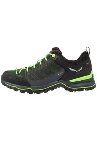 MOUNTAIN TRAINER LITE GORE TEX - Sapatos de caminhada - myrtle/ombre blue