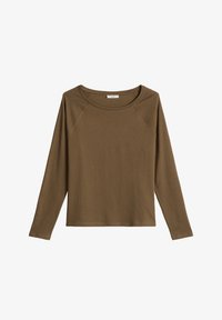 Wybrany, hazelnut brown