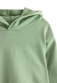Felpa verde con cappuccio foderato e vestibilità comoda. Materiale di cotone morbido, con una texture liscia e senza motivi o accenti visibili.