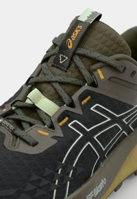 ASICS GEL-TRABUCO 13 GTX - Scarpe da trail running - black/whisper green