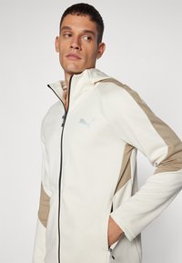 Puma EVOSTRIPE WARM FULL ZIP HOODIE - Felpa con zip - alpine snow