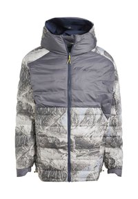 Adidas Terrex NATIONAL GEOGRAPHIC INSULATED REVERSABLE - Zimní bunda - grey six