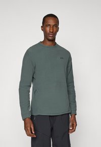 Grüne Sweatshirt mit Rundhalsausschnitt, langen Ärmeln und seitlichem Reißverschlussdetail. Mit einem dezenten Logo auf der Brust und strukturiertem Stoff.
