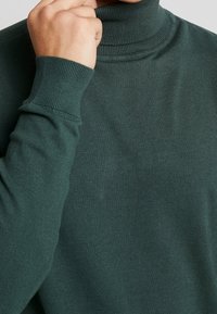 Dunkelgrüner Rollkragenpullover aus glattem, geripptem Material mit enganliegenden langen Ärmeln und einem hohen Kragen, der ein minimalistisches Design präsentiert.
