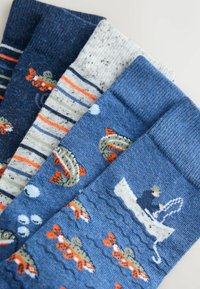 Mėlyni ir pilki kojinės su žvejyba ir žuvų raštais, su ribotais kraštais, juostelėmis ir įvairiomis tekstūromis. Pavaizduotos keturios poros.