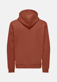 Hooded sweatshirt in terracotta color. Features a simple design with a smooth texture and ribbed cuffs and hem. No visible logos or patterns.