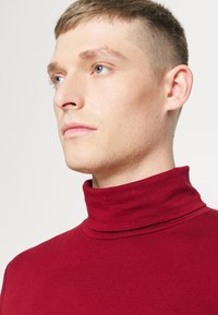 TOM TAILOR DENIM TURTLENECK LONGSLEEVE - Camisola de manga comprida - burned cordovan red