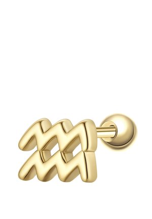 Guldørestik med Vandmandens stjernetegn og en glat kuglebaggrund på hvid baggrund.