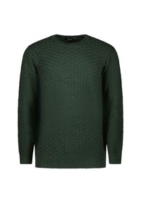 Cars Jeans BRAYAN  - Trui - bottle