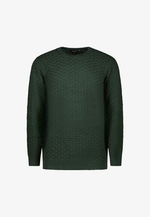 Cars Jeans BRAYAN  - Pullover - bottle