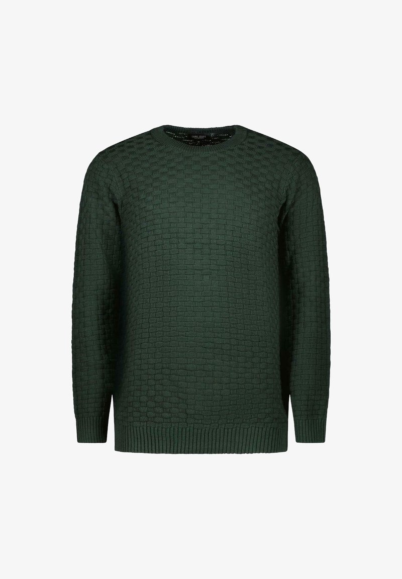 Cars Jeans BRAYAN - Trui - bottle