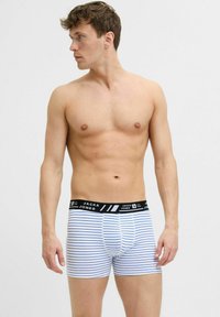 Gestreifte Boxershorts in Blau und Weiß mit einem schwarzen elastischen Bund. Sie bieten eine enge Passform und bestehen aus weichem Material mit einem Frontbeutel-Design.