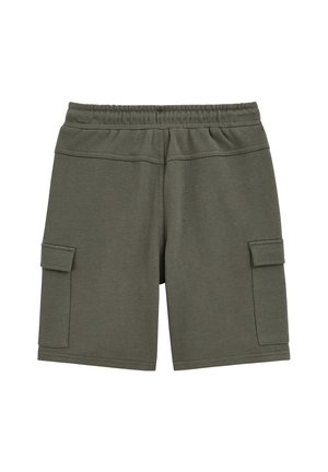 WE Fashion Shorts - greyish green
