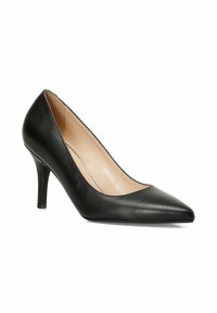 Black leather high-heeled pumps with a pointed toe, smooth texture, and a slim, tapering heel. Interior features a nude lining.