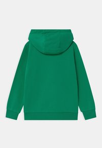 Sudadera verde con capucha ajustable, puños y dobladillo acanalados. Textura suave con un color sólido y sin patrones ni acentos visibles.