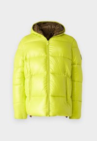 EDGARD - Winterjas - lichen green