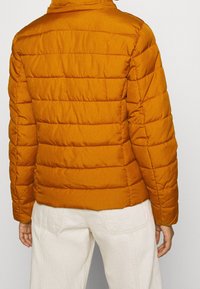 Giacca arancione imbottita con design a contrasto orizzontale, colletto alto e materiale leggero. Indossata sopra pantaloni chiari.
