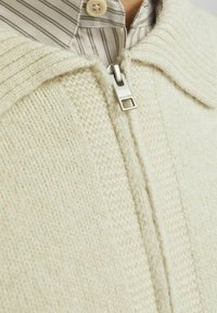 Cremfarbener Strickpullover mit ribbed Kragen, ausgestattet mit einem halben Reißverschluss und strukturiertem Stoff. Zeigt einen gestreiften Hemdkragen darunter.