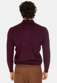 Pullover color bordeaux con maniche lunghe, texture a coste e un fresco dettaglio del colletto. Indossato con pantaloni marroni. Vista posteriore.