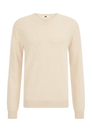 Lichtbeige, langemma sleeve trui met een V-hals, geribbelde boorden en zoom. Gemaakt van een zachte, gestructureerde stof met een subtiel gemêleerd patroon.