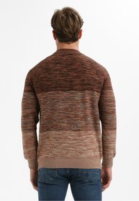 Moški v rjavo prelivajoči se pletenici in modrih kavbojkah, prikazan s hrbtne strane ob belem ozadju.