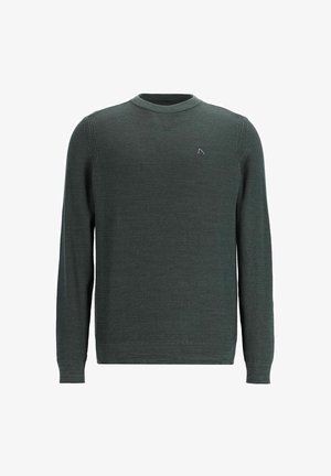 Grüner Strickpullover mit rundem Ausschnitt, langen Ärmeln, gerippten Abschlüssen und einem kleinen Logodetail auf der Brust. Strukturiertes Stoffdesign.