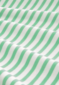 TOM TAILOR DENIM Camiseta de manga larga - white green stripe