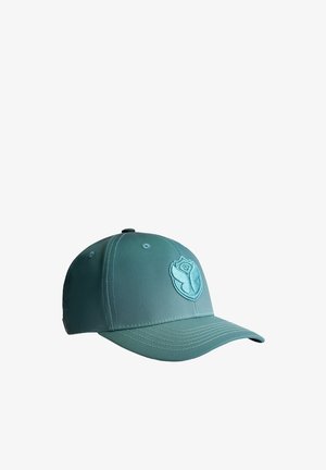 Teal honkbalpet met een gestructureerde kroon, geborduurd logo aan de voorkant en een gebogen klep. Het materiaal lijkt glad met zichtbare stiksels.