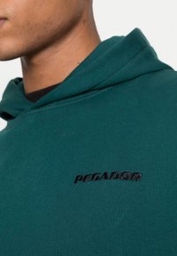 Pegador LOGO OVERSIZED  - Sweatshirt com capuz - pine green
