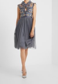 Une robe grise avec un corsage brodé de fleurs, un col volanté et une jupe en tulle à pois, avec une taille cintrée et une longueur au genou.