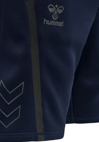 Shorts de sport bleu marine foncé avec une texture lisse, arborant un logo gris clair et un motif en chevron sur le côté. Fabriqués en tissu respirant.