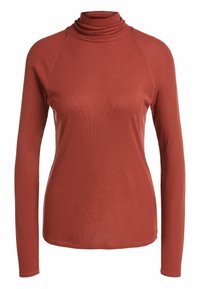 Maglione a maniche lunghe con collo alto in tessuto a coste color ruggine, caratterizzato da maniche raglan e un design del collo a strati. Texture liscia con dettagli minimi.