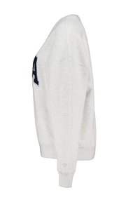 Light gray sweatshirt featuring a crew neckline, long sleeves, and a large dark-colored letter on the front. Ribbed cuffs and hem.