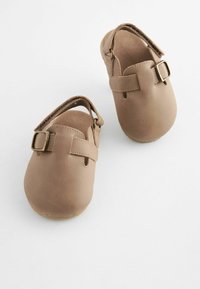 Next PRAM  - Puukingad - neutral