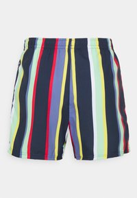 Swim shorts featuring vertical stripes in navy, green, yellow, red, and white. Elastic waistband and lightweight, smooth fabric.