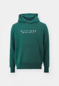 NEW YORK HOODY - Sportska majica - ornamental green