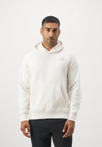 The North Face RAGLAN BOX HOODIE - Jersey con capucha - white dune/muted pine